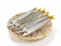 kamasu_0.jpg
