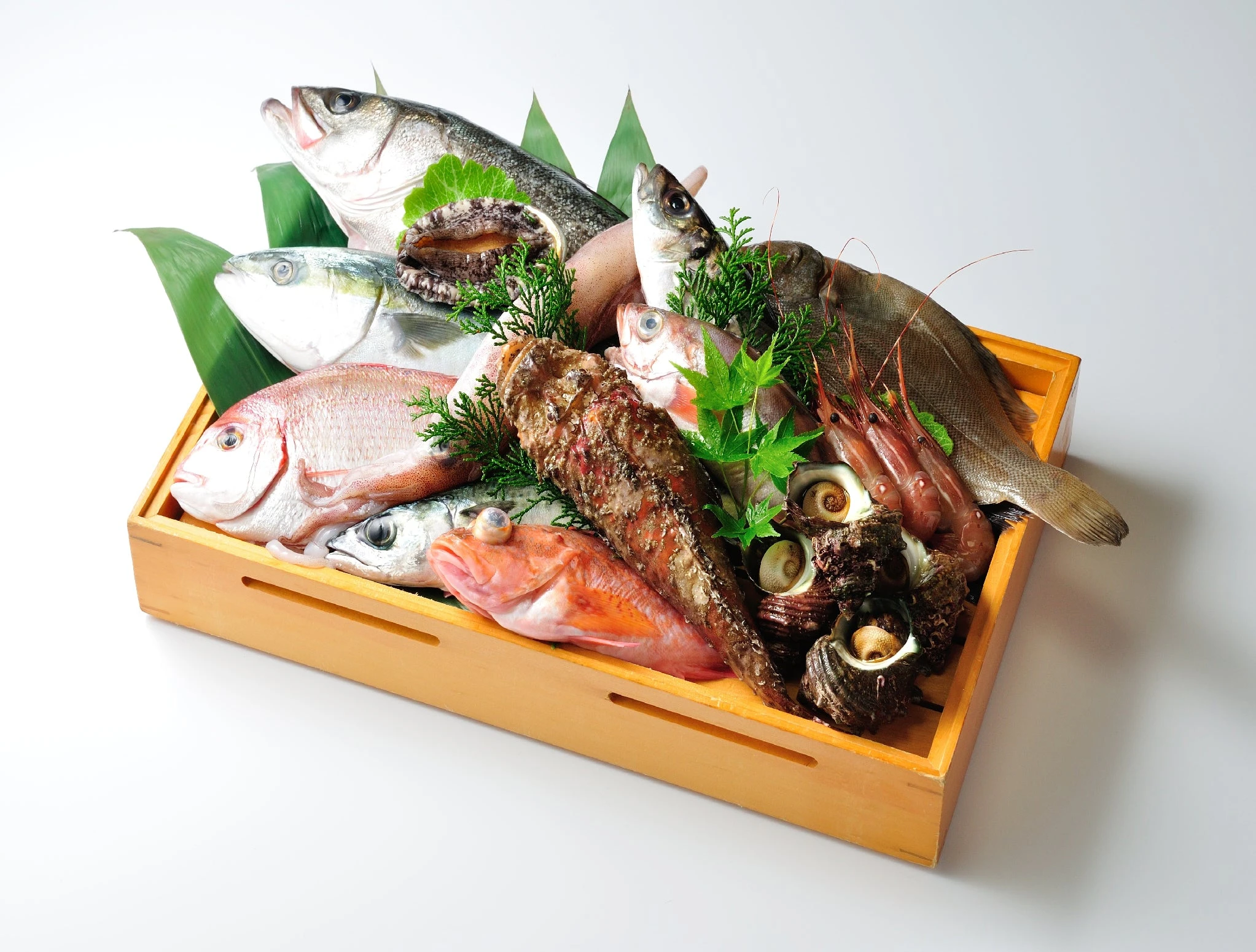 omakase-fish-box_0.jpg