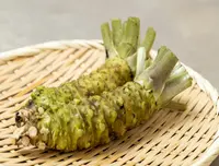 aaa-fresh-japanese-wasabi-roots-hon-wasabi_1.jpg