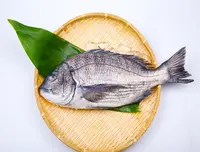 黒鯛 Kurodai WHOLE 1.64 LB
