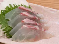 kurodai_1.webp