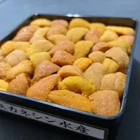 うに バフン “カネシン” Uni Bafun Kaneshin 250g