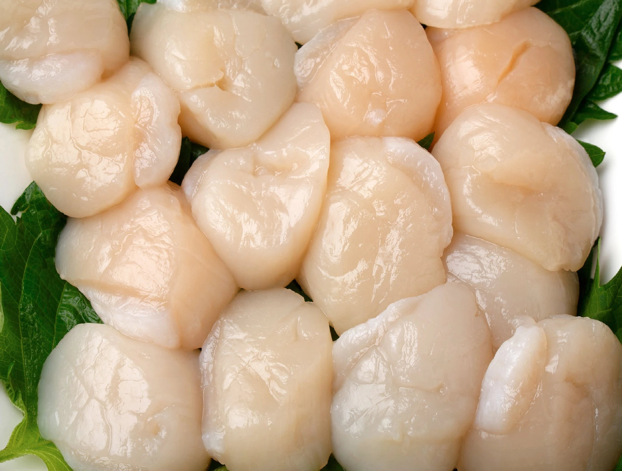 aaa-hotate-frozen-1kg_0.jpg