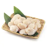 むきほたて Muki Hotate RAW MEAT 12pc (Large) 500g