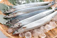L Sanma WHOLE