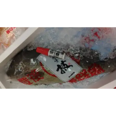 GSK1 ISAKI    Parapristipoma trilineatumFRESH WILD CHICKEN GRUNT.png