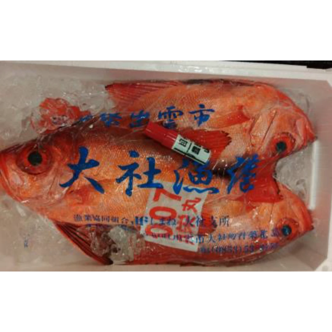 GSK1 KINTOKIDAI   Priacanthus macracanthus CuvierFRESH WILD RED BIGEYE.png