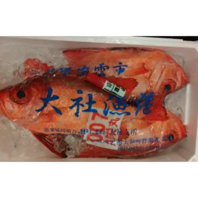 GSK1 KINTOKIDAI   Priacanthus macracanthus CuvierFRESH WILD RED BIGEYE.png
