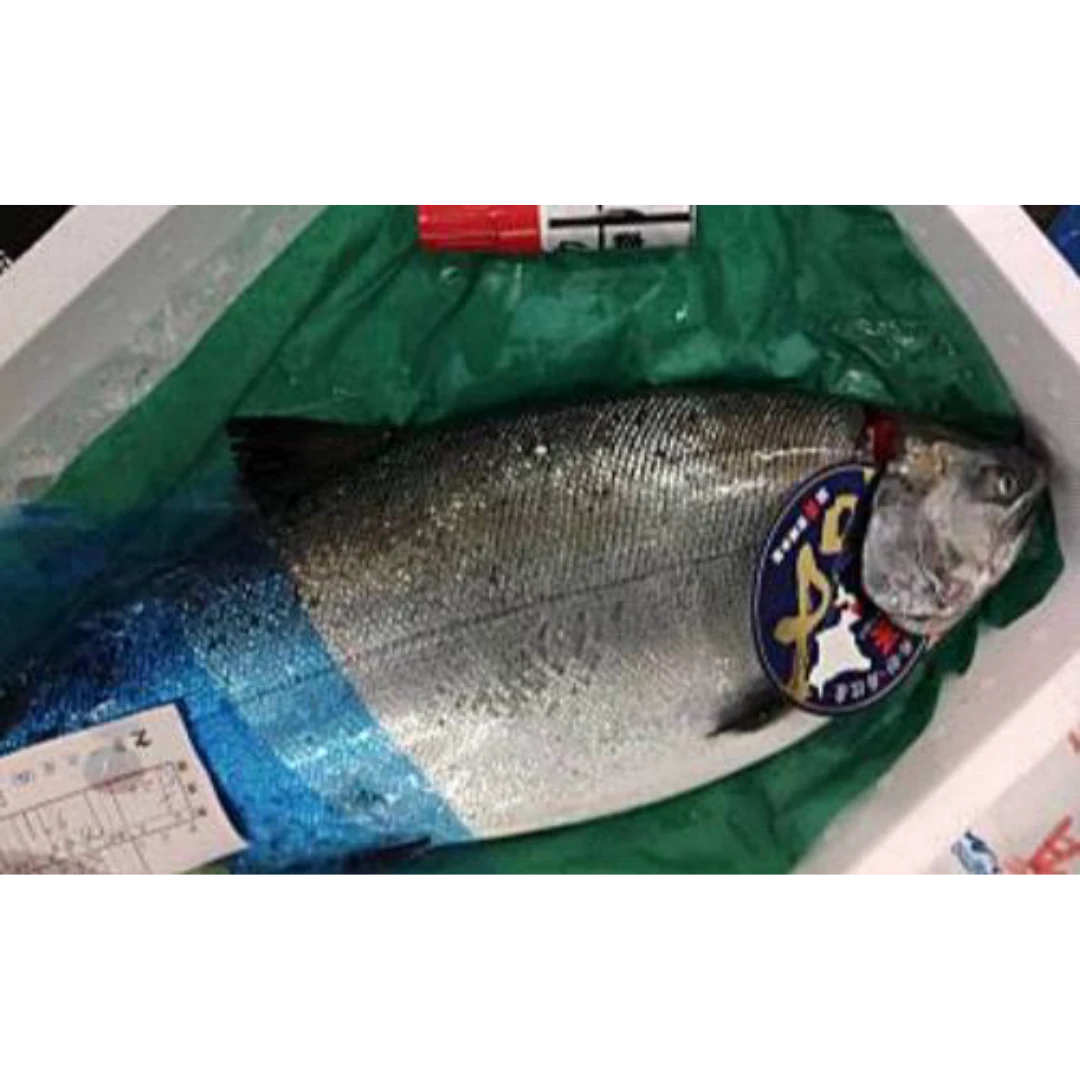 GSK1 SAKURAMASU   Oncorhynchus masou masouFRESH WILD CHERRY SALMON.png