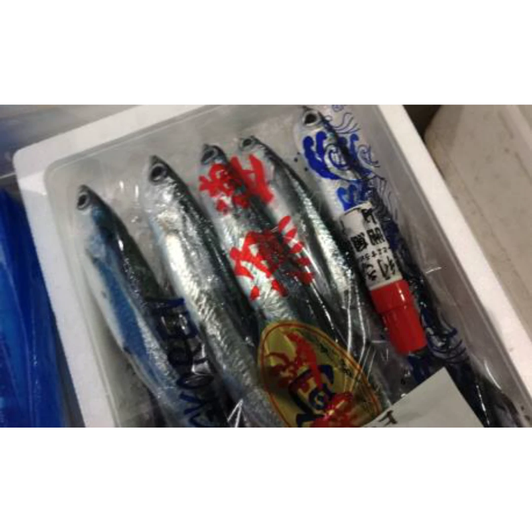 GSK1 TOBIUO   Cypselurus agooFRESH WILD JAPANESE FLYINGFISH.png
