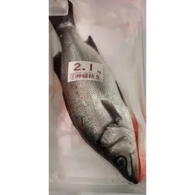 SSF2 Hirasuzuki - Blackfin Seabass.png