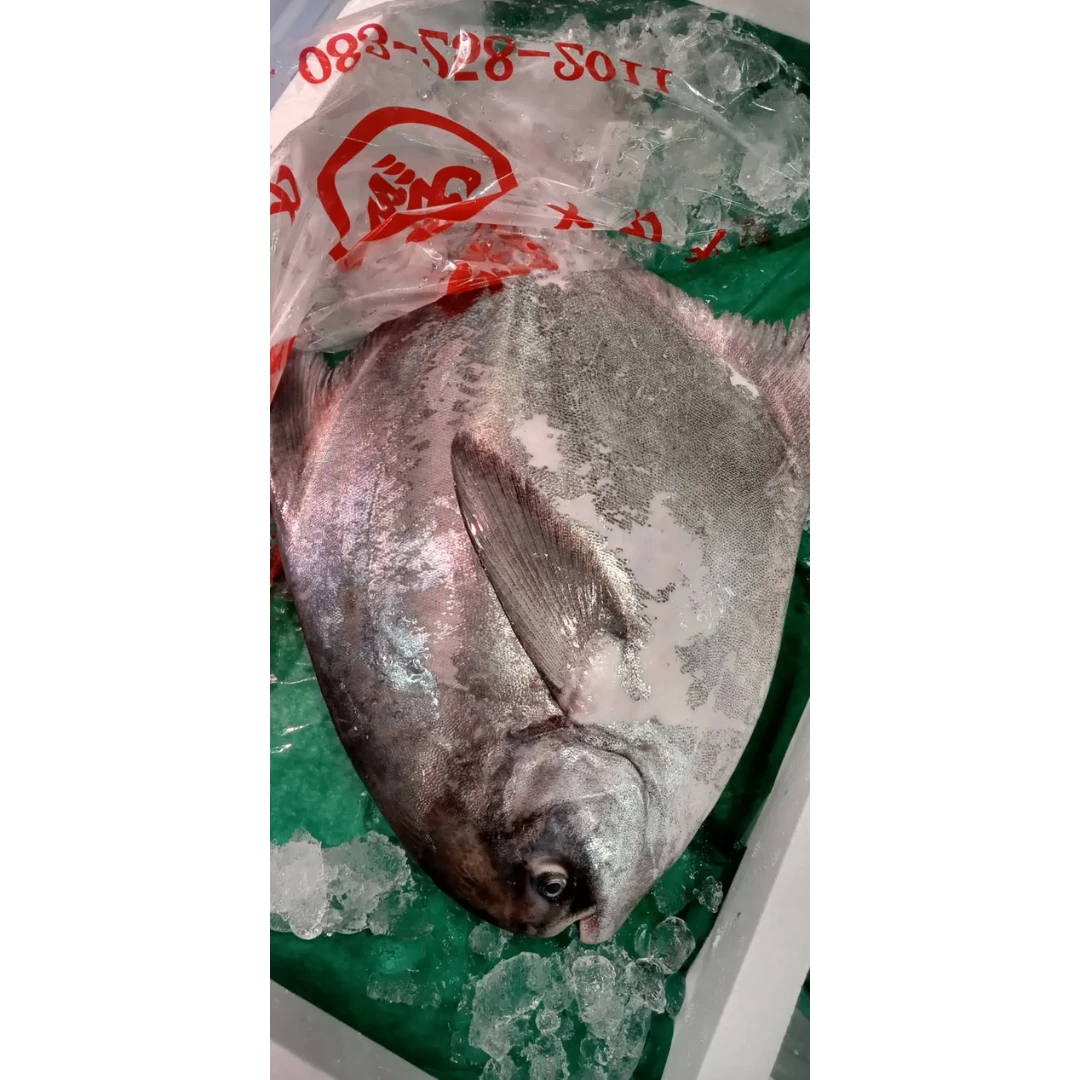 SSF2 Managatsuo - Harvestfish.png