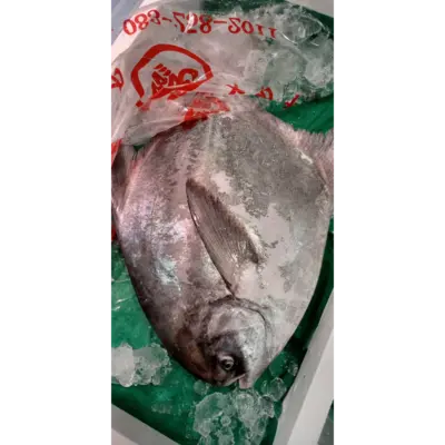 SSF2 Managatsuo - Harvestfish.png