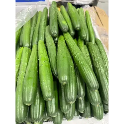 SSF2 Kyuri - Cucumber.png