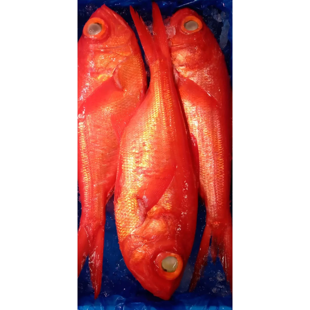 SSF2 Kinmedai - Splendid Alfonsino.png