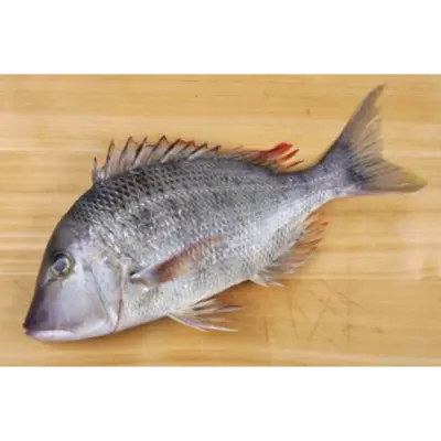 フエフキダイ Fuefuki WHOLE 2.2 LB