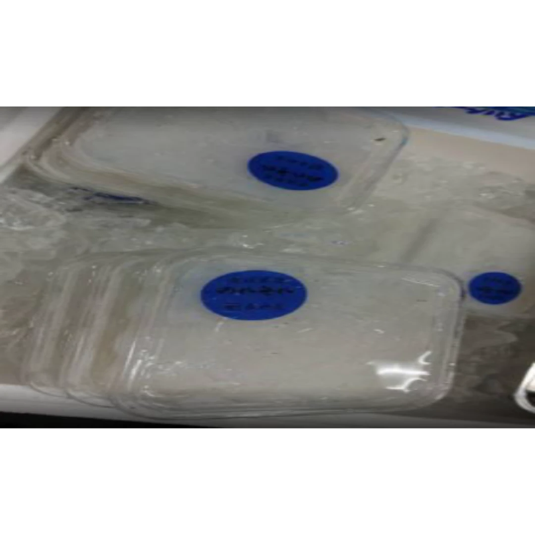 GSK1 NORESORE Conger myriaster FRESH WILD CONGER EEL LARVA.png