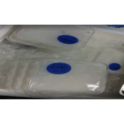 GSK1 NORESORE Conger myriaster FRESH WILD CONGER EEL LARVA.png