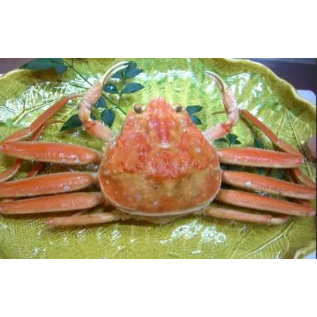 GSK1 SEKO GANI Chionoecetes opilio FRESH WILD SNOW CRAB.png
