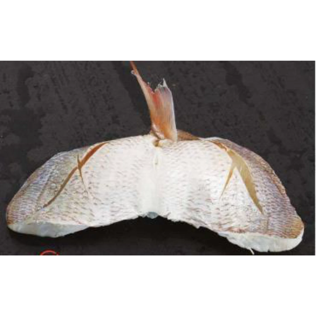 GSK1 KASUGODAI SUSHI Evynnis tumifrons  FRESH WILD YOUNG SEA BREAM.png