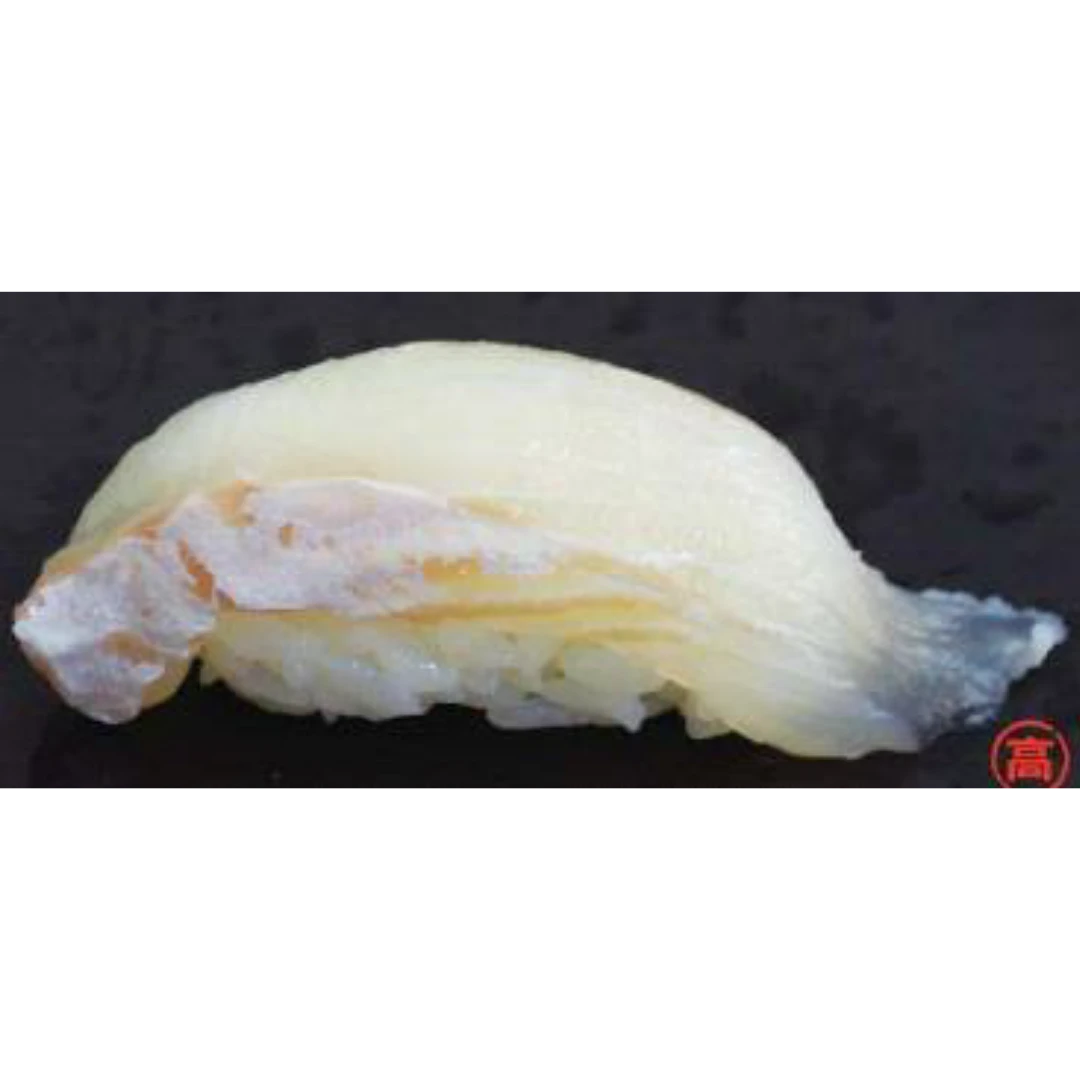 GSK1 ISHIGAREI SUSHI Platichthys bicoloratus FRESH WILD STONE FLOUNDER.png