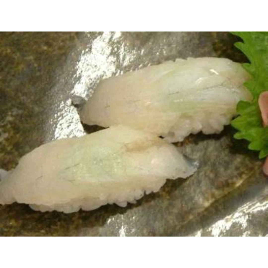GSK1 MAGOCHI SUSHI Platycephalus indicus FRESH WILD BARTAIL FLATHEAD.png