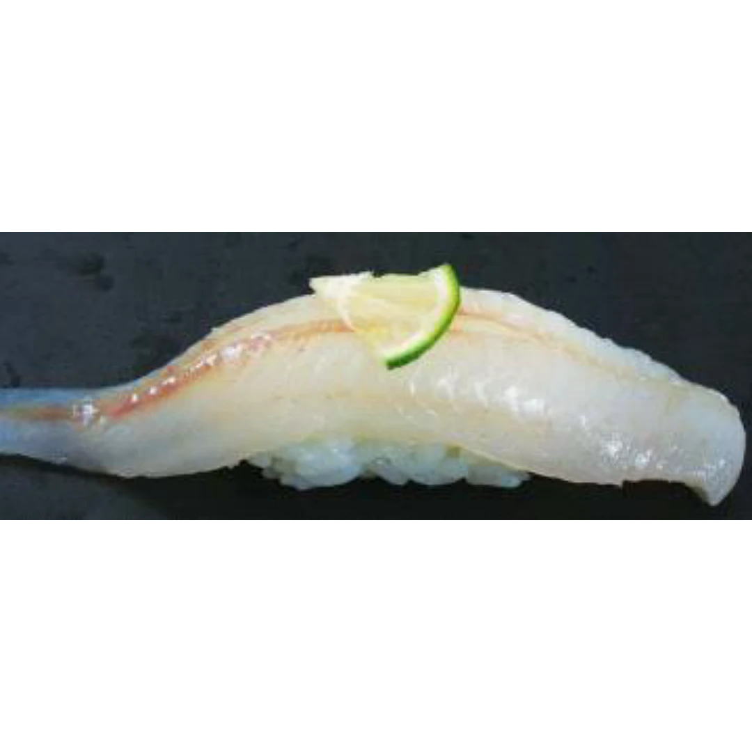 GSK1 KISU SUSHI Sillago japonica FRESH WILD Japanese Sillago.png