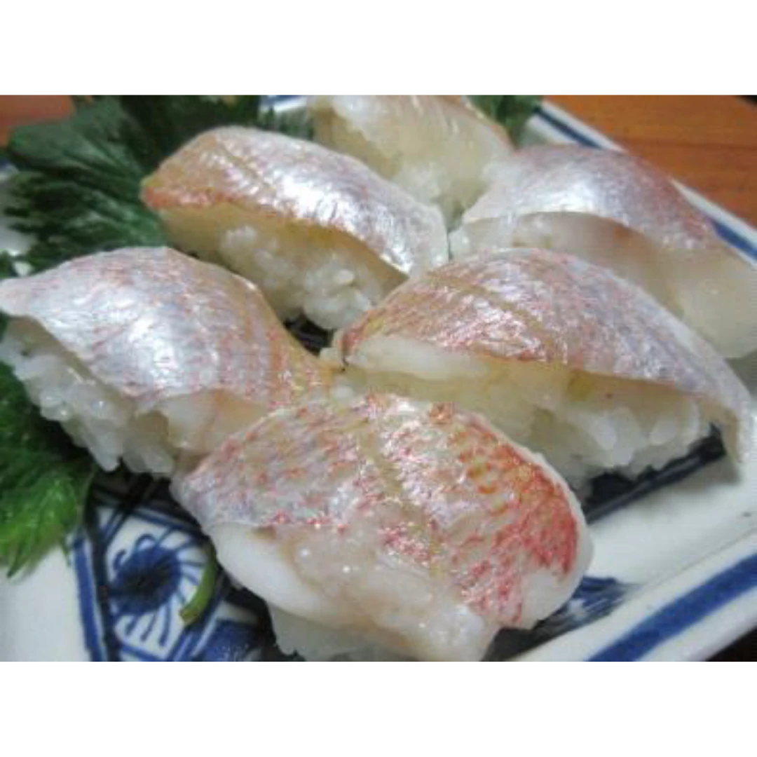 GSK1 RENKODAI SUSHI Dentex hypselosomus Bleeker EELLOWBACK SEA BREAM.png