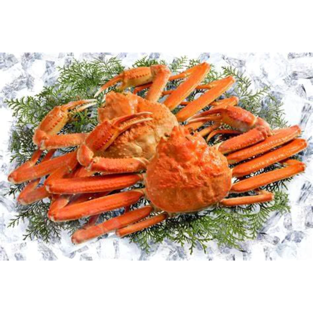 GSK1 ZUWAIGANI FRESH WILD RED TANNER CRAB Chionoecetes japonicus Rathbun.png