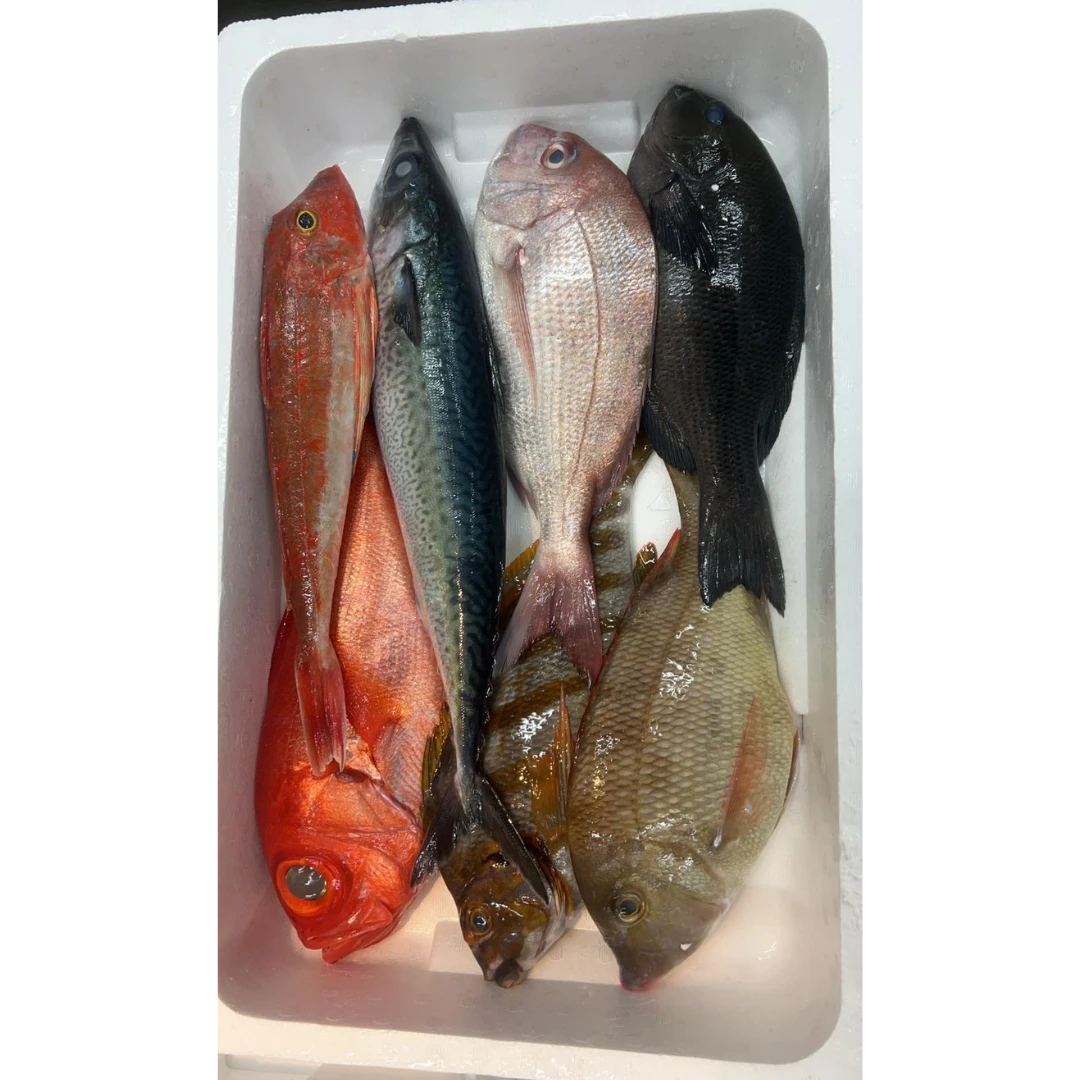 GSK1 OMAKASE BOX 1.png