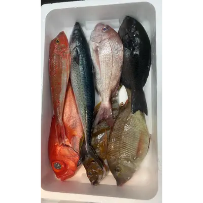 GSK1 OMAKASE BOX 1.png