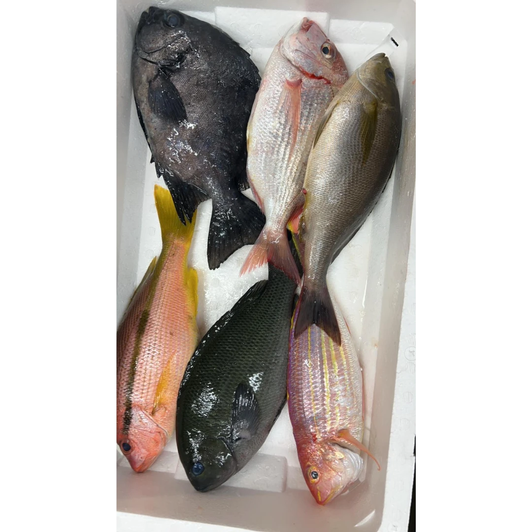 GSK1 OMAKASE BOX 5.png