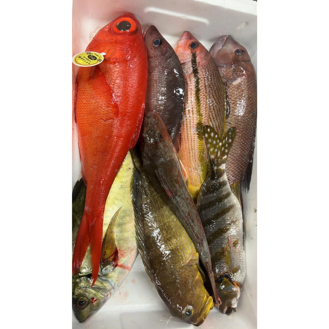 GSK1 OMAKASE BOX 3.png