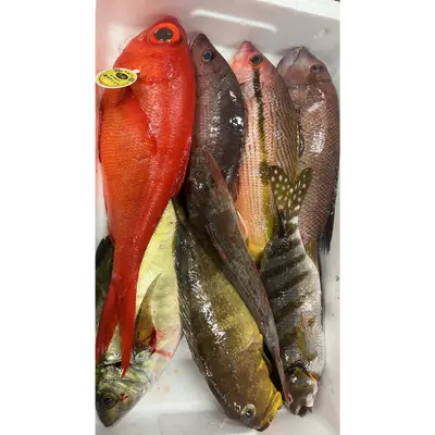 GSK1 OMAKASE BOX 3.png