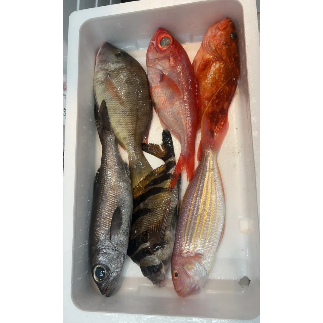 GSK1 OMAKASE BOX 2.png