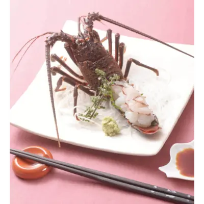 Ise Ebi 11.png
