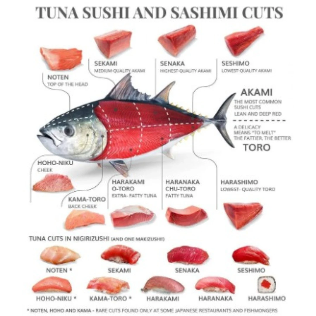 Bluefin infographic2.png
