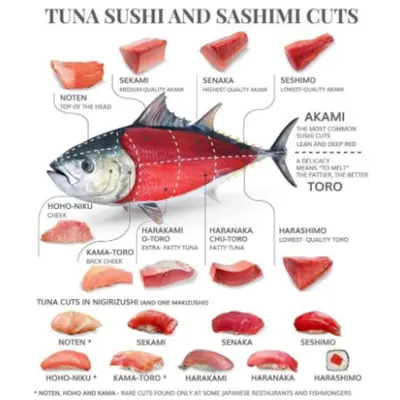 Bluefin infographic2.png
