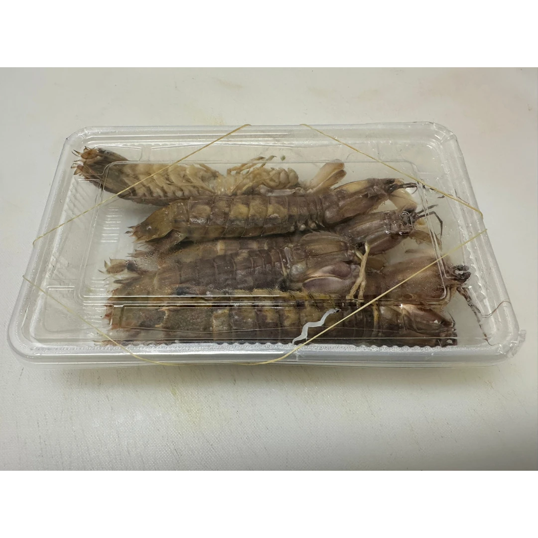 SHAKO シャコ - FRESH MANTIS SHRIMP SHELLFISH - Oratosquilla oratoria  JCH.png