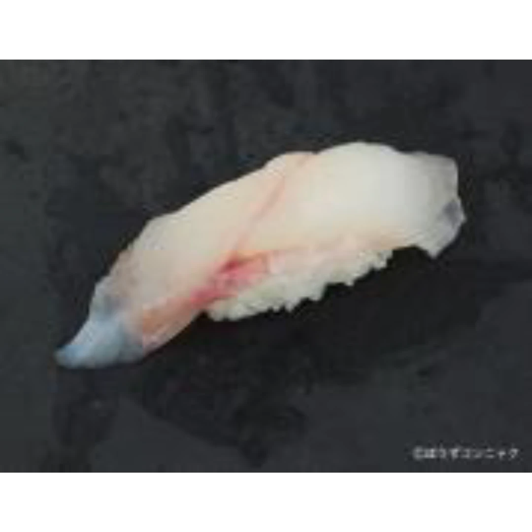 2 FRESH WILD YELLOWGROUPER KIHATA Epinephelus awoara GSK1.png