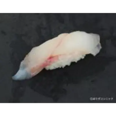2 FRESH WILD YELLOWGROUPER KIHATA Epinephelus awoara GSK1.png