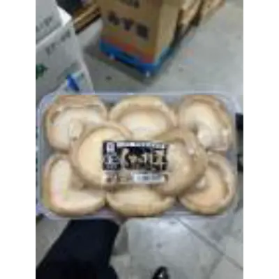 Steak Shiitake GSK1.png