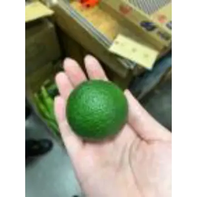 Yuzu 2 GSK1.png