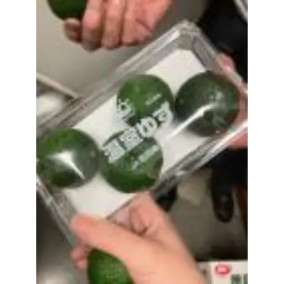 Yuzu 1 GSK1.png