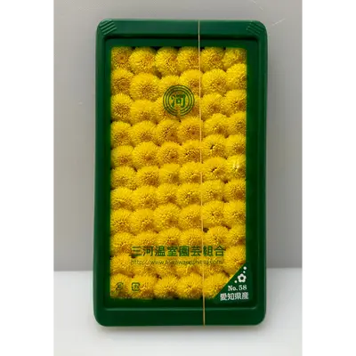 小菊  Kogiku 60g