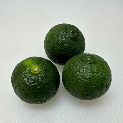 ゆず  緑  Yuzu Citrus Green 55g