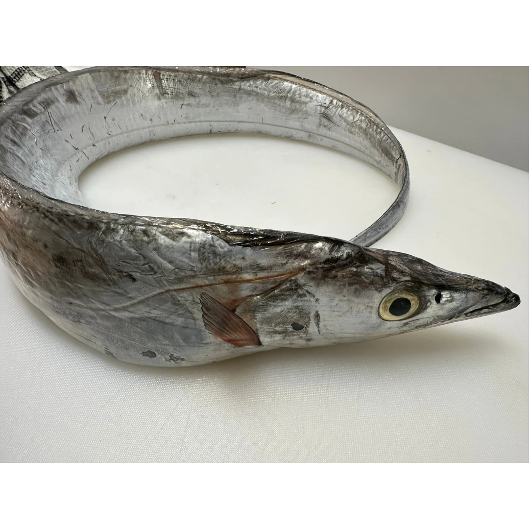 Fresh Largehead hairtail (Trichiurus lepturus) - head on not gutted_Tachiuo.png
