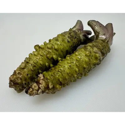 わさび (誠妻) Mazuma Wasabi 110g