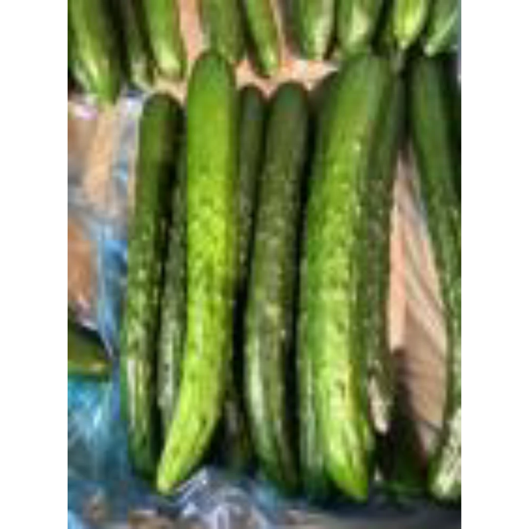 CUCUMBER KYURI CUCUMBER GSK1.png