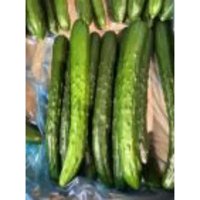 きゅうり Kyuri Cucumber 110g